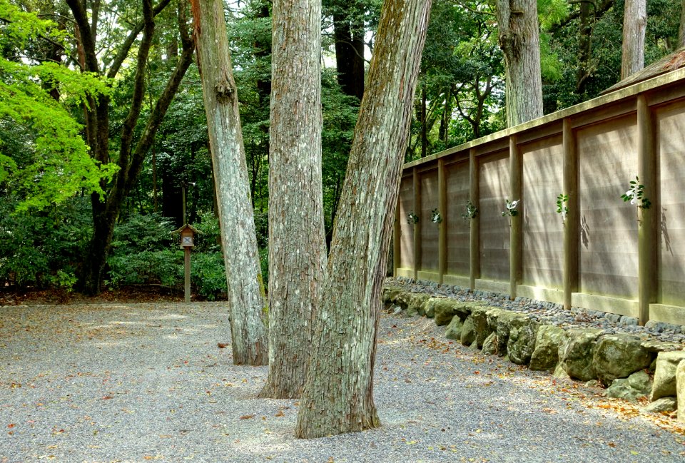 Wall - Geku, Ise Shrine - Ise, Mie, Japan - DSC07804