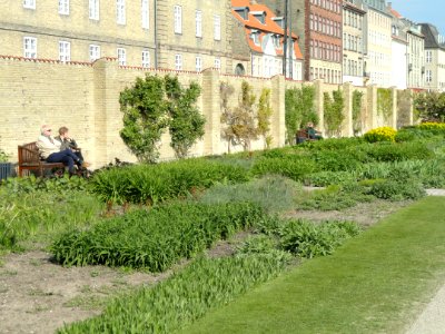 Wall - Kongens Have - Copenhagen - DSC08299