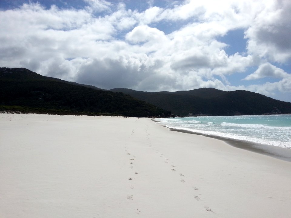 Waterloo Bay, Wilsons Promontory National Park 14