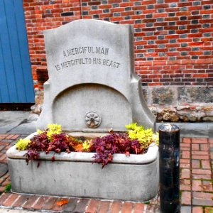 Water trough 9th St. Philly