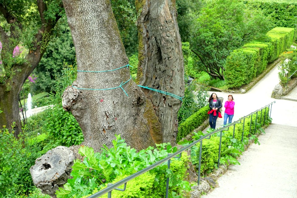 Walkways - Villa d'Este - Tivoli, Italy - DSC04108