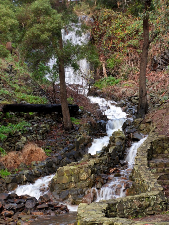 Waterfall-Burnie-Park-20160607-001