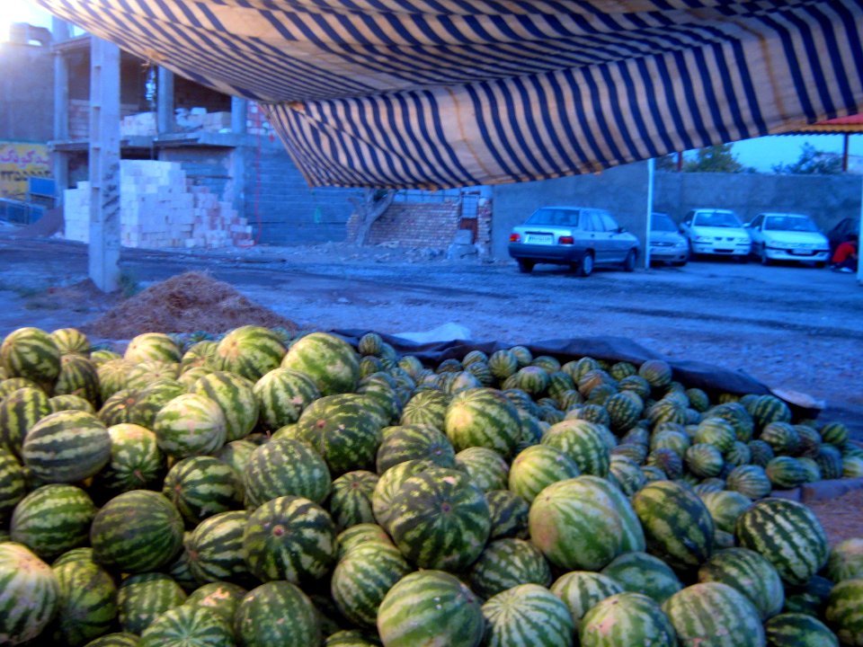 Watermelon - Fruit Bazaar - near Besat sq - Nishapur 06
