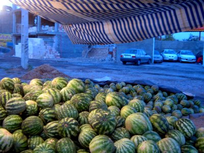 Watermelon - Fruit Bazaar - near Besat sq - Nishapur 06