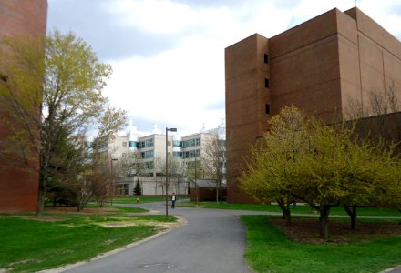 Walkways and trees and several buildings and student at Cornell University