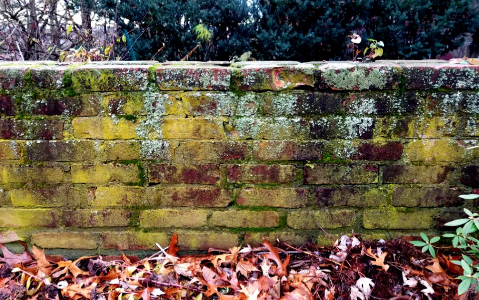 Wall - Arlington, MA - 20201127 095625