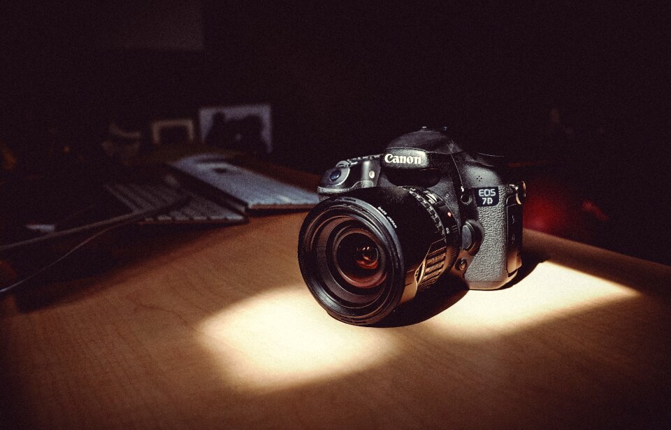 Photography sunlight wooden