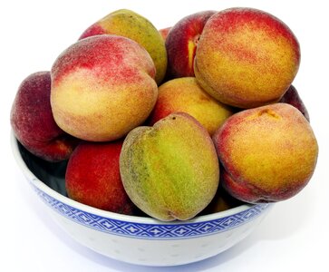 Round peach prunus persica fruit