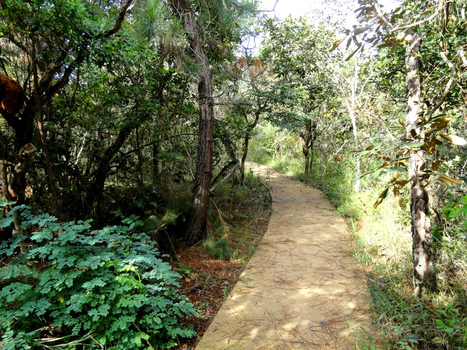 Walkway - Jardim Botânico de Brasília - DSC09633