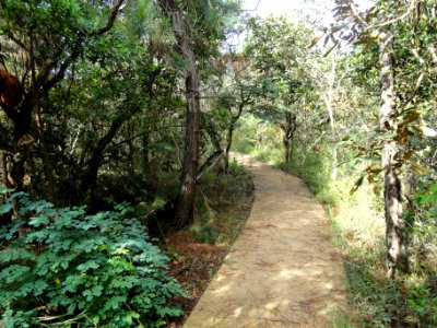 Walkway - Jardim Botânico de Brasília - DSC09633