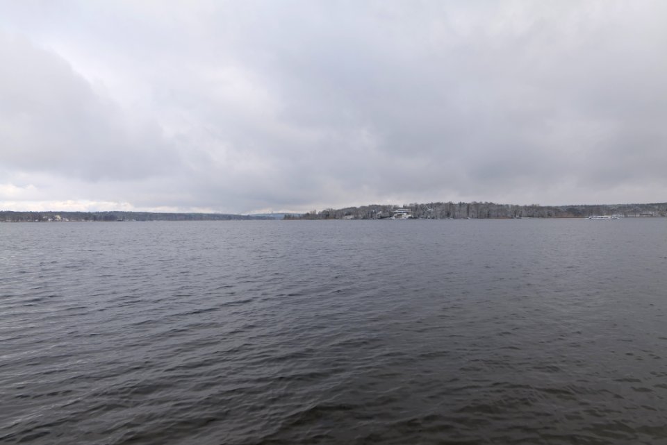Wannsee from Düppeler Forst 2021-01-30 06