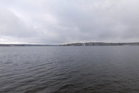 Wannsee from Düppeler Forst 2021-01-30 06