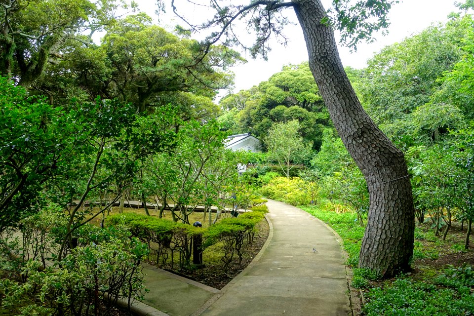 Walkway - Samuel Cocking Garden - Enoshima, Japan - DSC07764
