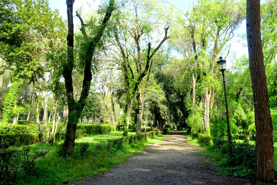 Walkway - Villa Borghese - Rome, Italy - DSC04557