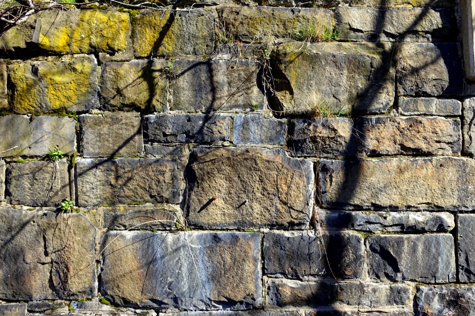 Wall - Arlington, MA - DSC09805