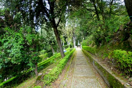 Walkway - Villa d'Este - Tivoli, Italy - DSC03993