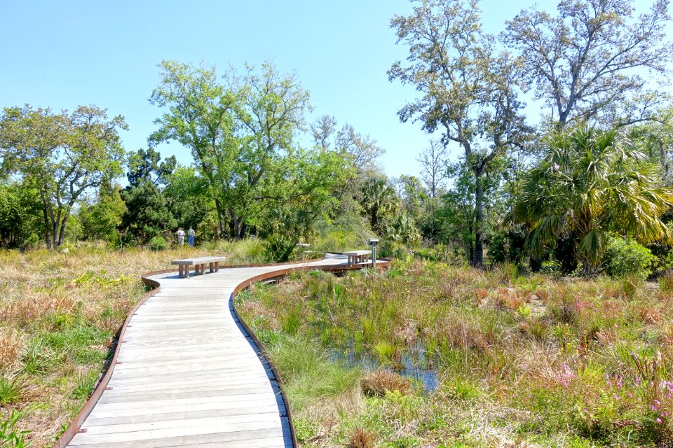Walkway - Bok Tower Gardens - DSC02099