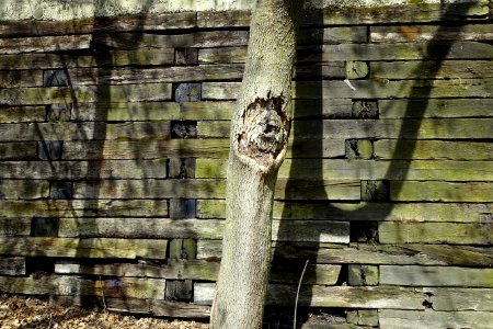 Wall - Arlington, MA - DSC00664
