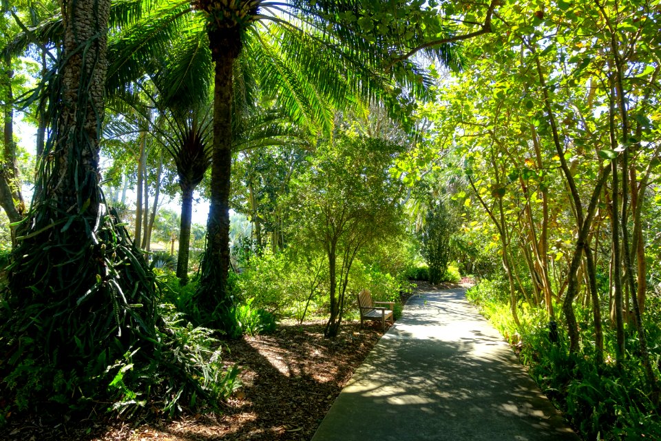 Walkway - Marie Selby Botanical Gardens - Sarasota, Florida - DSC01392