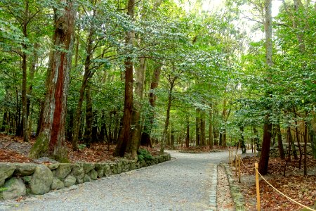 Walkway - Naiku, Ise Shrine - Ise, Mie, Japan - DSC07658