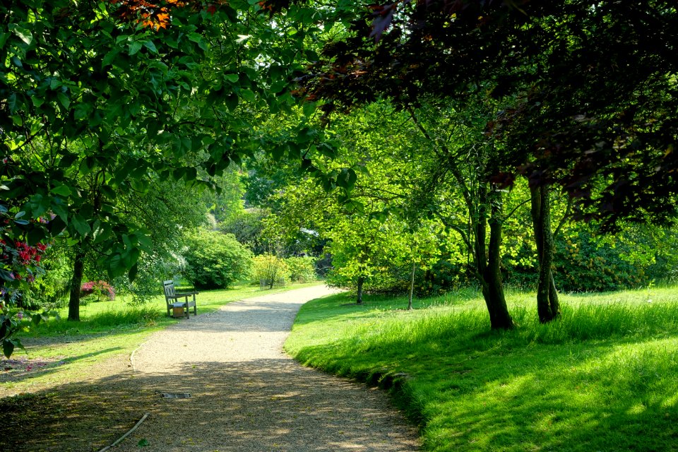 Walkway - Sheffield Park and Garden - East Sussex, England - DSC05361