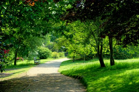 Walkway - Sheffield Park and Garden - East Sussex, England - DSC05361