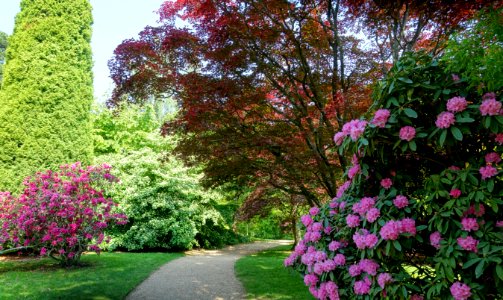 Walkway - Sheffield Park and Garden - East Sussex, England - DSC05351