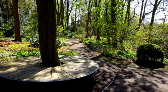 Walkway, Jardins du Fleuriste du Stuyvenberg - DSC07597