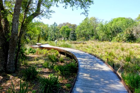 Walkway - Bok Tower Gardens - DSC02093