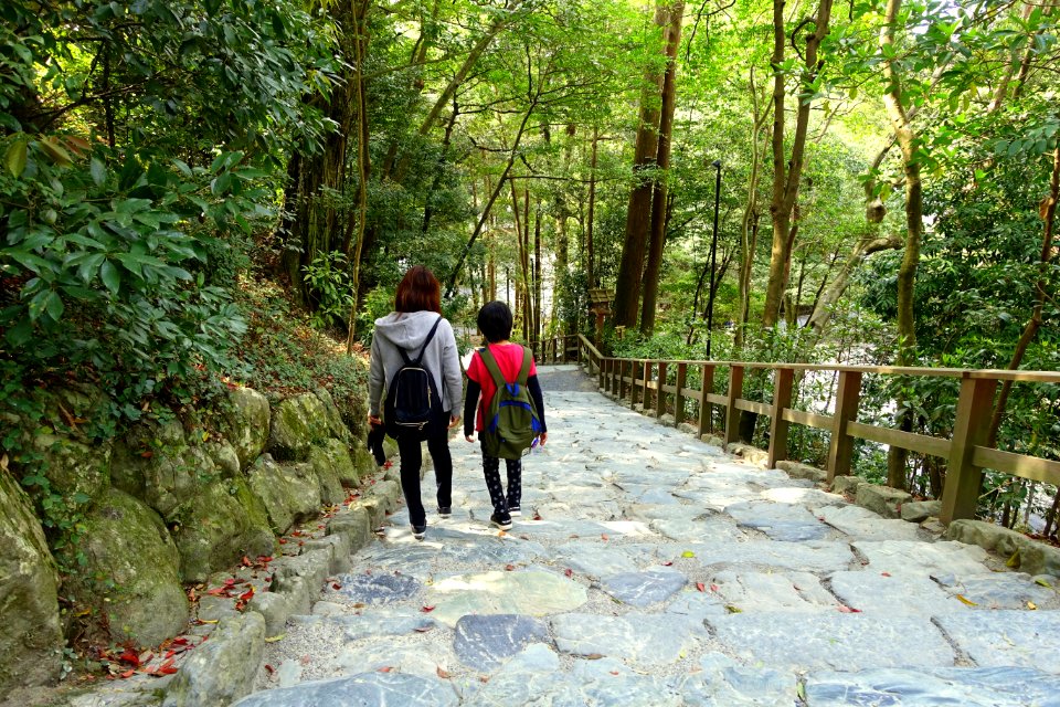 Walkway - Geku, Ise Shrine - Ise, Mie, Japan - DSC07855