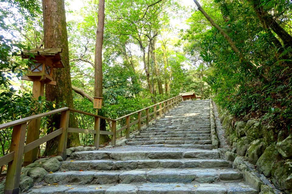 Walkway - Geku, Ise Shrine - Ise, Mie, Japan - DSC07844