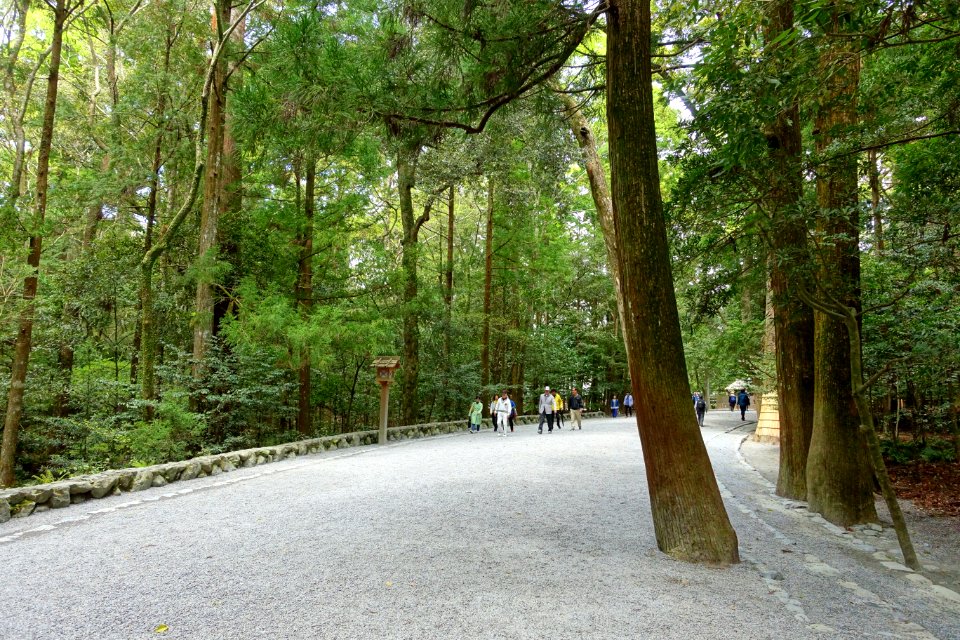 Walkway - Naiku, Ise Shrine - Ise, Mie, Japan - DSC07692