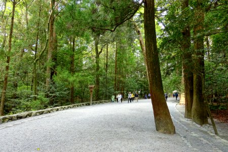 Walkway - Naiku, Ise Shrine - Ise, Mie, Japan - DSC07692