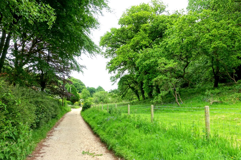Walkway - Thomas Hardy's Cottage, Higher Bockhampton - Dorset, England - DSC03330