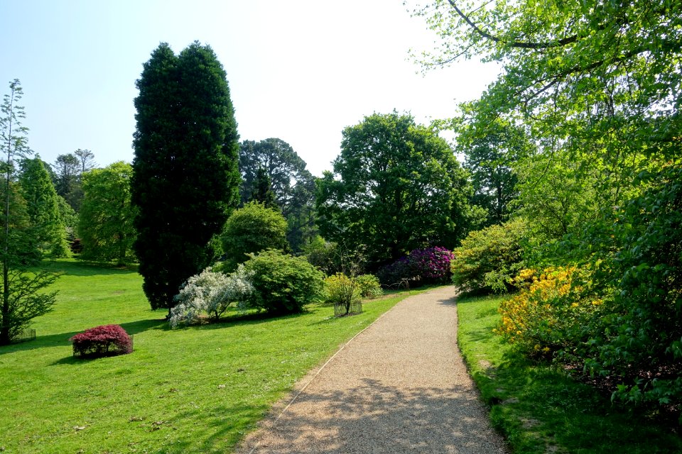 Walkway - Sheffield Park and Garden - East Sussex, England - DSC05363