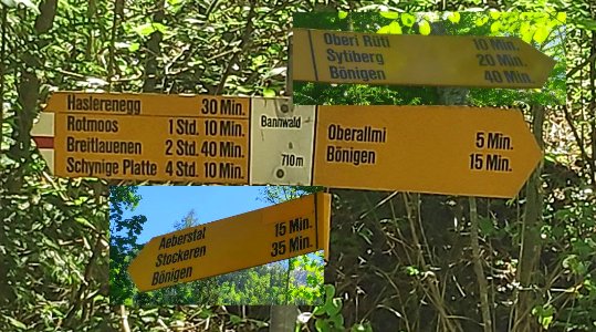 Wanderwegweiser Bönigen Bannwald