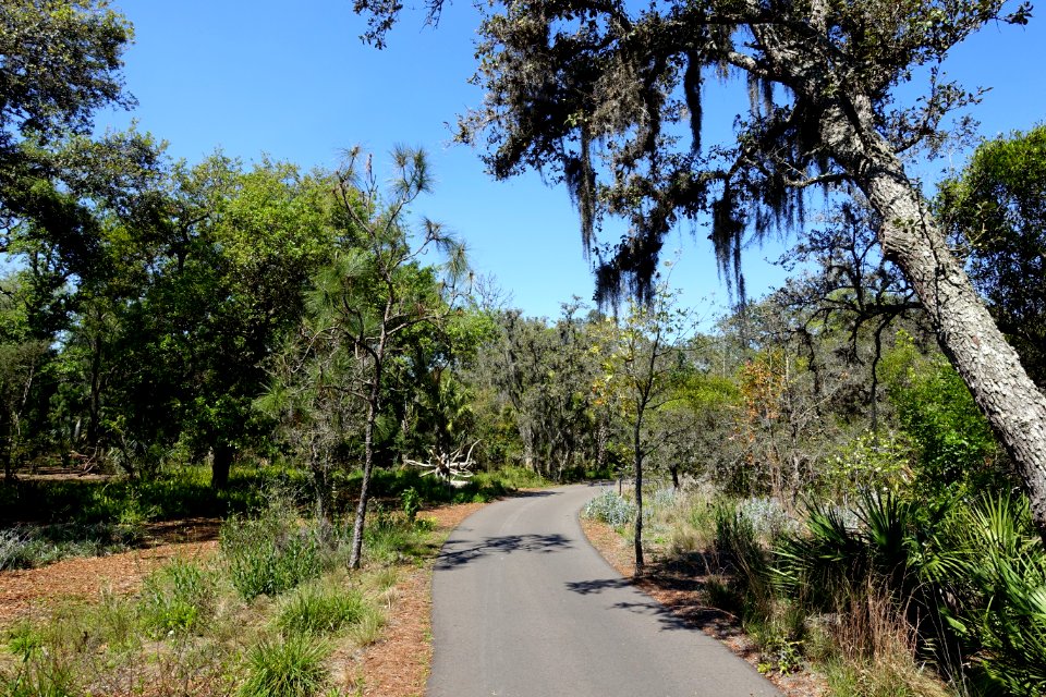 Walkway - Bok Tower Gardens - DSC02089