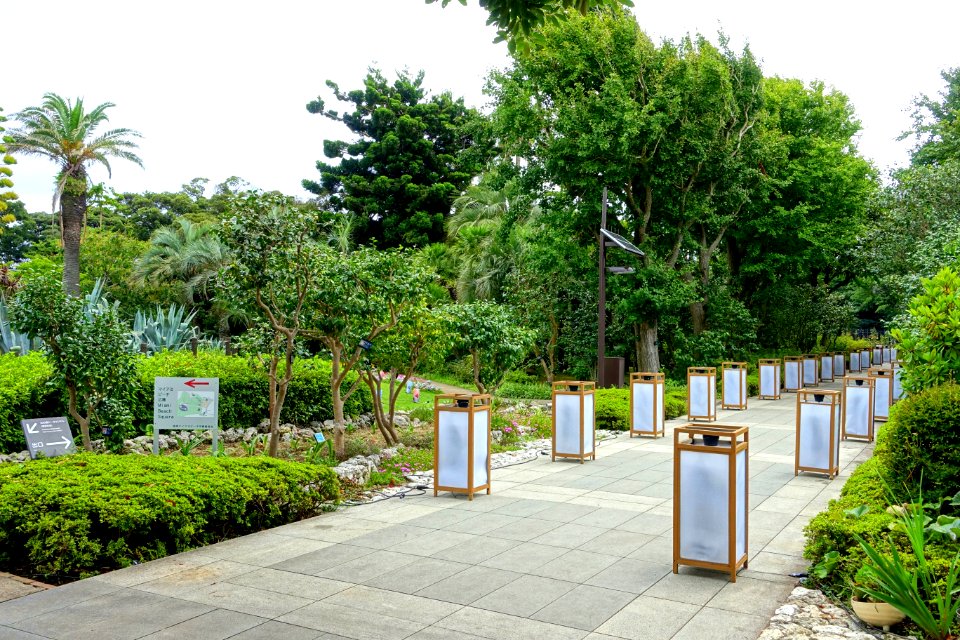 Walkway - Samuel Cocking Garden - Enoshima, Japan - DSC07778