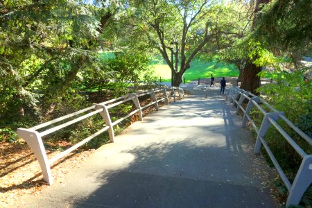 Walkway - University of California, Berkeley - DSC04904
