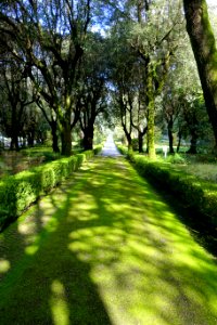 Walkway - Barberini Gardens - Castel Gandolfo - DSC04331