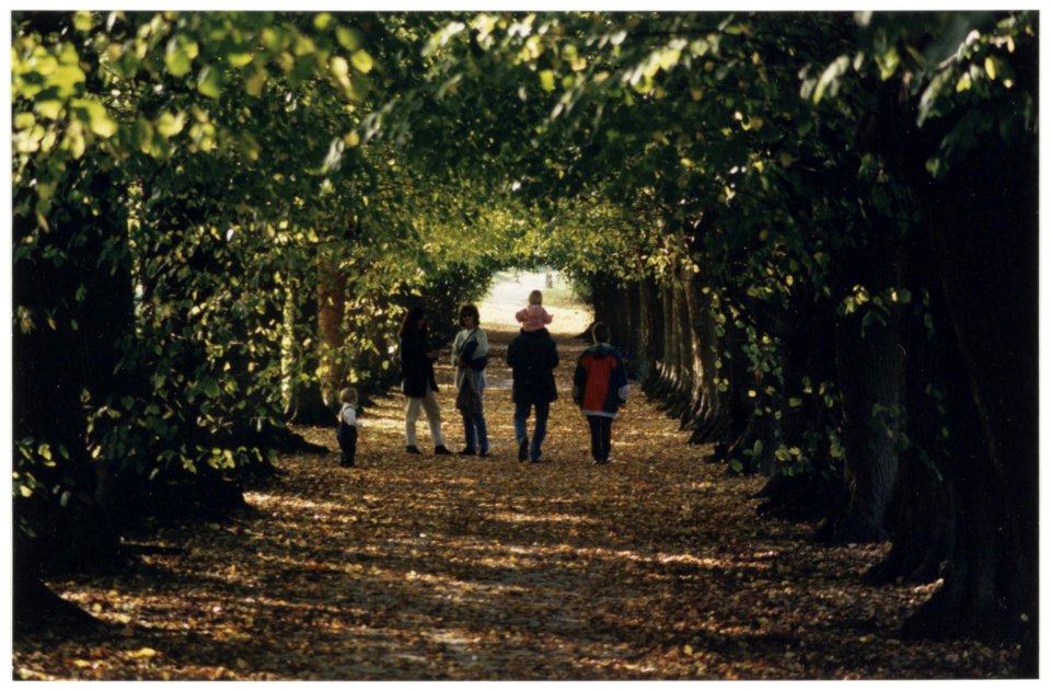 Wandelaars op landgoed Elswout, NL-HlmNHA 54036534