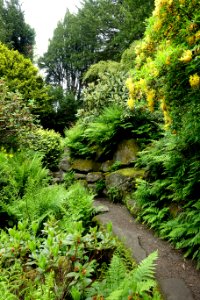 Walkway - Biddulph Grange Garden - Staffordshire, England - DSC09448