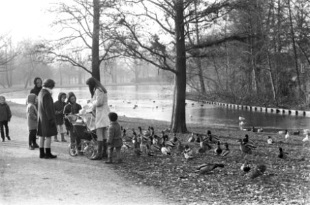 Wandelen in het Vondelpark in de winterzon, Bestanddeelnr 921-9309