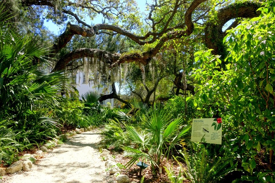 Walkway - Marie Selby Botanical Gardens - Sarasota, Florida - DSC01620