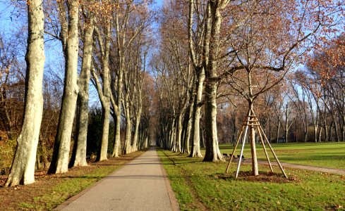 Walkway - Schlossgarten Stuttgart - Stuttgart, Germany - DSC01615