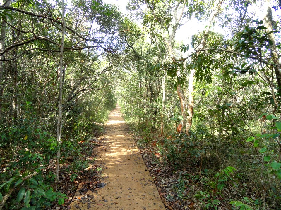 Walkway - Jardim Botânico de Brasília - DSC09625