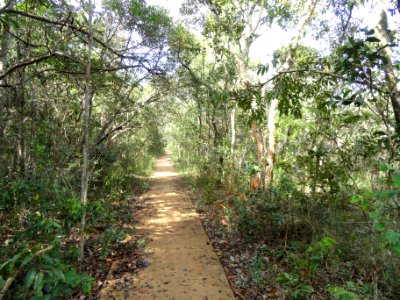 Walkway - Jardim Botânico de Brasília - DSC09625