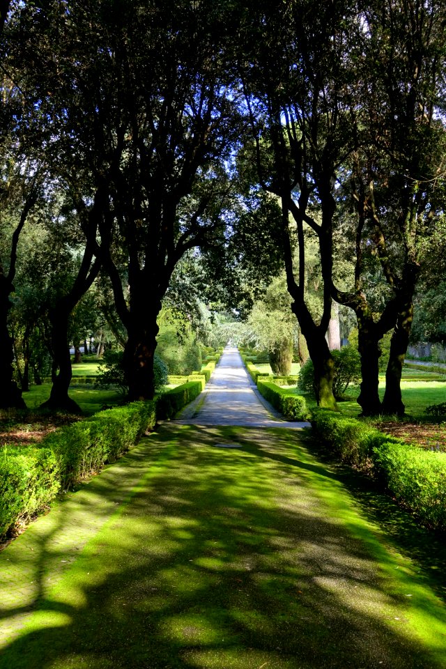 Walkway - Barberini Gardens - Castel Gandolfo - DSC04327