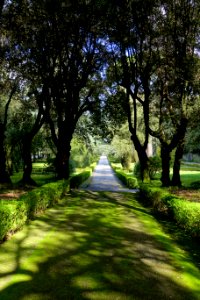 Walkway - Barberini Gardens - Castel Gandolfo - DSC04327