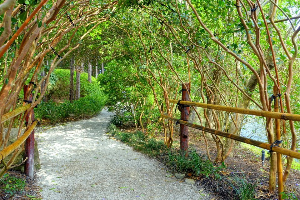 Walkway - Morikami Museum and Japanese Gardens - Palm Beach County, Florida - DSC03352